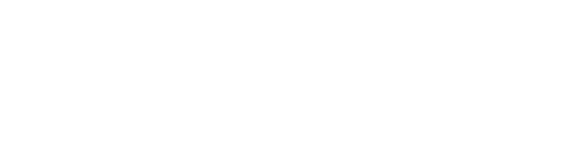 Professional Security Services Construction